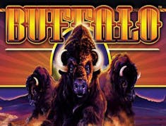 Buffalo logo
