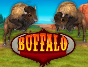 Buffalo Bingo