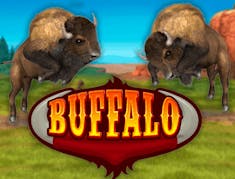 Buffalo Bingo logo