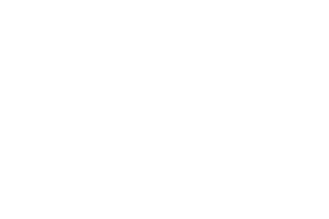 Reel Kingdom logo