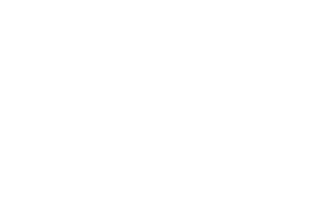 Armadillo Studios logo
