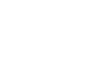 Peter and Sons logo