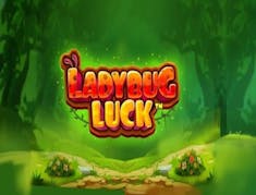 Ladybug Luck logo